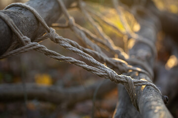Rope on wood