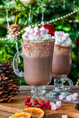 Hot chocolate with whipped cream and marshmallows