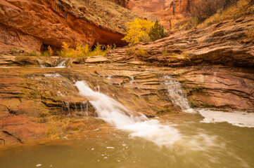 Cascades In Coyote Gulch Escalante Utah 