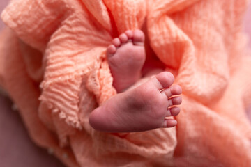 feet of a newborn baby. feet on a background. baby feet