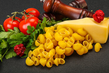 Italian pasta - raw pipe rigate