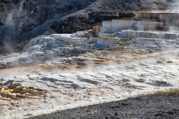 Mammoth hot springs