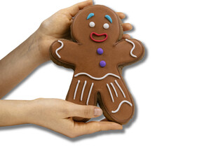 Female hands holding gingerbread cookie man isolated on a white background. Winter holidays isolated template.