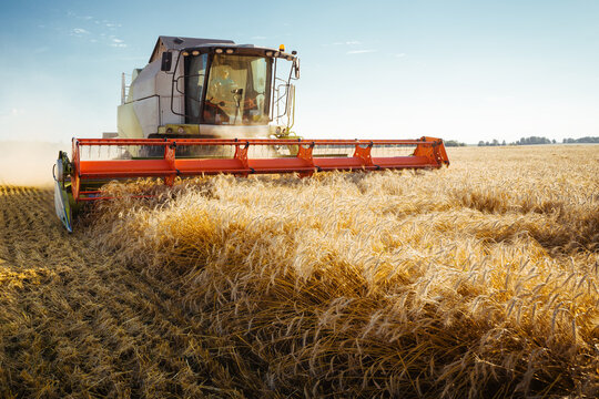 Combine harvester harvests ripe wheat. Concept of a rich harvest. Agriculture image