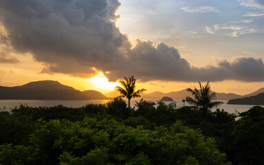 Golden sunset with beautiful clouds floating on blue sky and coconut or palm tree, tropical forest with mountain landscape on island beach in Phuket, Thailand