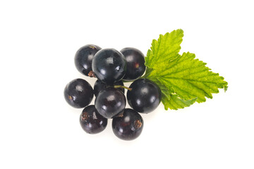 Fresh ripe sweet black currant