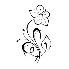 ornament 1438. decorative flower with large petals on a stalk with leaves and curls in black lines on a white background