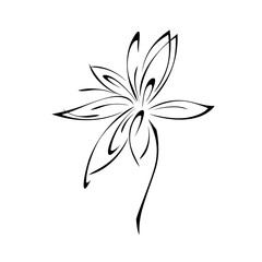 ornament 1439. one stylized blooming flower on a short stalk without leaves in black lines on a white background
