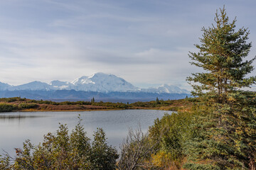 Scenic Denali National Park Reflection Landscape in Autumn
