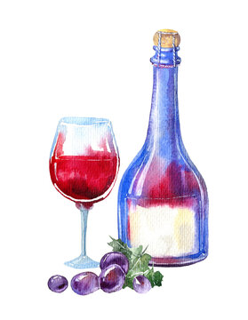  Red wine bottle,rosemary, grapes and cheese.Picture of a alcoholic drink.Watercolor hand drawn illustration.