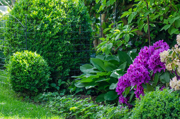 Gartenbepflanzung