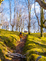 A young woman walking along the path of the Oianleku beech forest, in the town of Oiartzun, Gipuzkoa. Basque Country