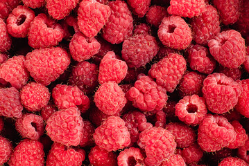 Many ripe raspberries, top-down view. Close-up.