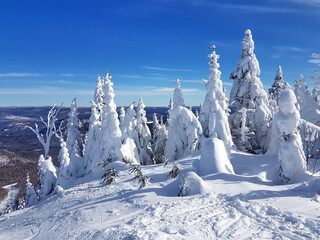 Scenic view of a ski resort Mont-Tremblant
