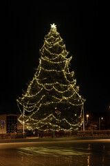 Big Christmas tree in the City Tauberbischofsheim Germany