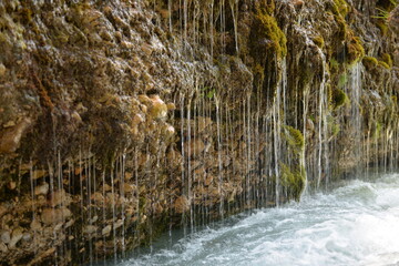 Water flowing from the rock to Alpine stream