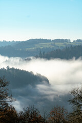 Nebellandschaft