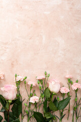 Overhead view of pink flowers on light surface, roses