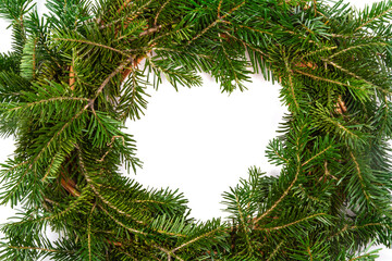 Christmas background. Christmas fir tree on white background. Top view