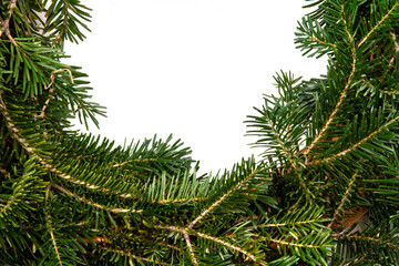Christmas background. Christmas fir tree on white background. Top view