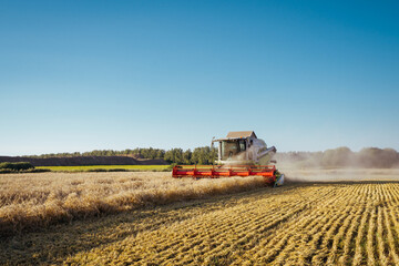 Combine harvester harvests ripe wheat. Concept of a rich harvest. Agriculture image