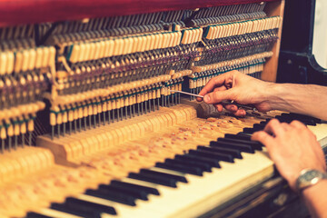 Piano tuning process. closeup of hand and tools of tuner working on grand piano. Detailed view of...