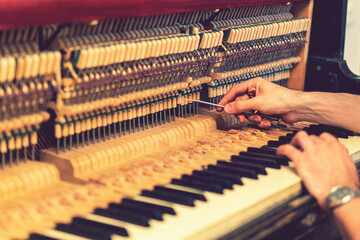 Piano tuning process. closeup of hand and tools of tuner working on grand piano. Detailed view of Upright Piano during a tuning. toned
