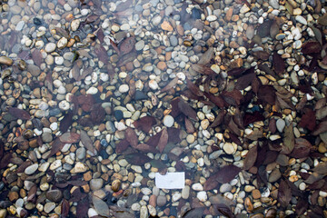 Centro cultural vila Flor Guimarães