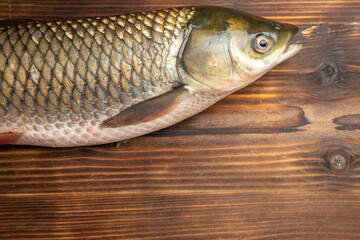 top view fresh fish raw product on the wooden desk fish sea meat ocean food