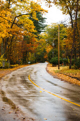 Fototapeta premium Wet street in autumn