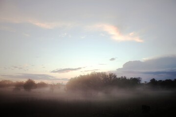 fog over the river