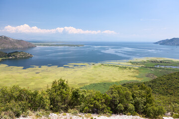 Panorama of the Skadar lake with mountains around. Skadarsko jezero is a national park in Montenegro, Europe