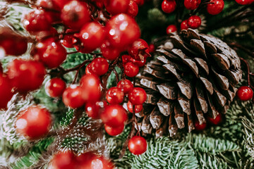 Forest cones and red berries. New Year's composition. Christmas mood