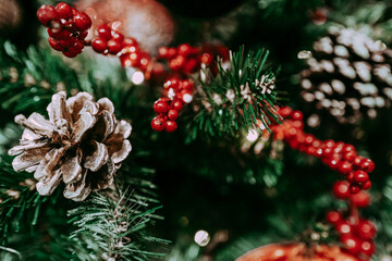 Forest cones and red berries. New Year's composition. Christmas mood