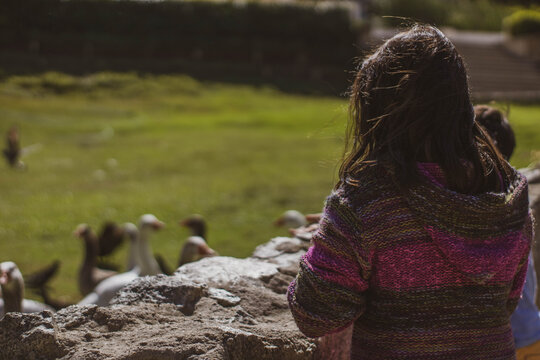 selective focus chield in a field