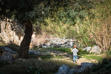 Young boy walking in forest