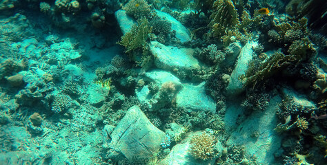 Naklejka na ściany i meble A mysterious jumble of limestone building blocks at the bottom of the Red Sea. Sharm El Sheikh, Egypt 