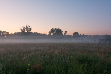 morning mist over the field - 400618032