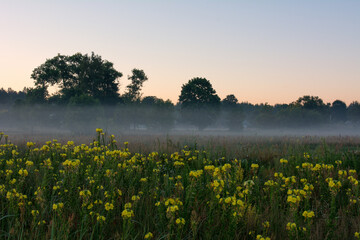 misty morning in the field - 400618084