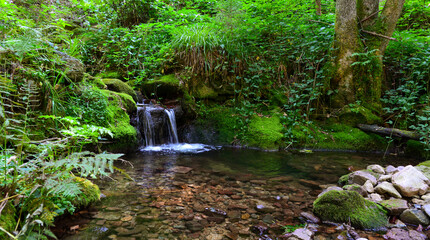 Allerheiligen-Wasserfälle Oppenau in Baden-Württemberg © Ilhan Balta