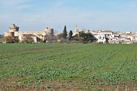 Venosa (Potenza) - veduta