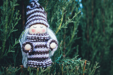 Duendes adorables e invernales en la naturaleza