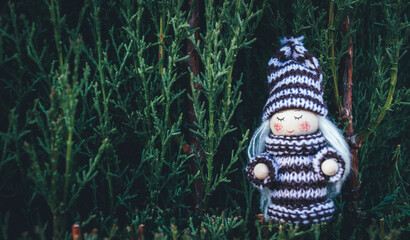 Duendes adorables e invernales en la naturaleza