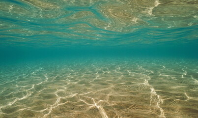 Fototapeta premium Underwater background, sandy seabed in the sea below water surface, natural scene, Mediterranean, Spain