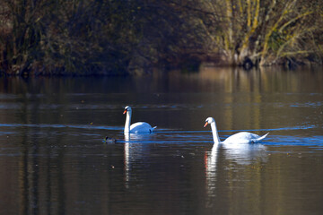 Rencontre programmée