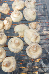 Pickled mushrooms are cooked on the grill on coals