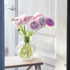 Bouquet of Pink Persian buttercups is in glass round vase on a white wooden tall chair next to the door.