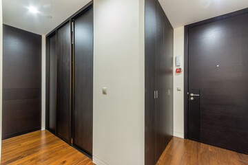 Entrance hall in the bright apartment.