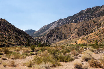 Fototapeta na wymiar Sierra Nevada mountains in summer. California, USA