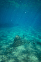 View of stone in water